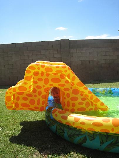 Giraffe Pool 2.JPG